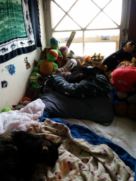 Cats and Dogs, living together! Mass Hysteria!! 