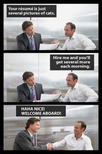 FB_IMG_1431482648173