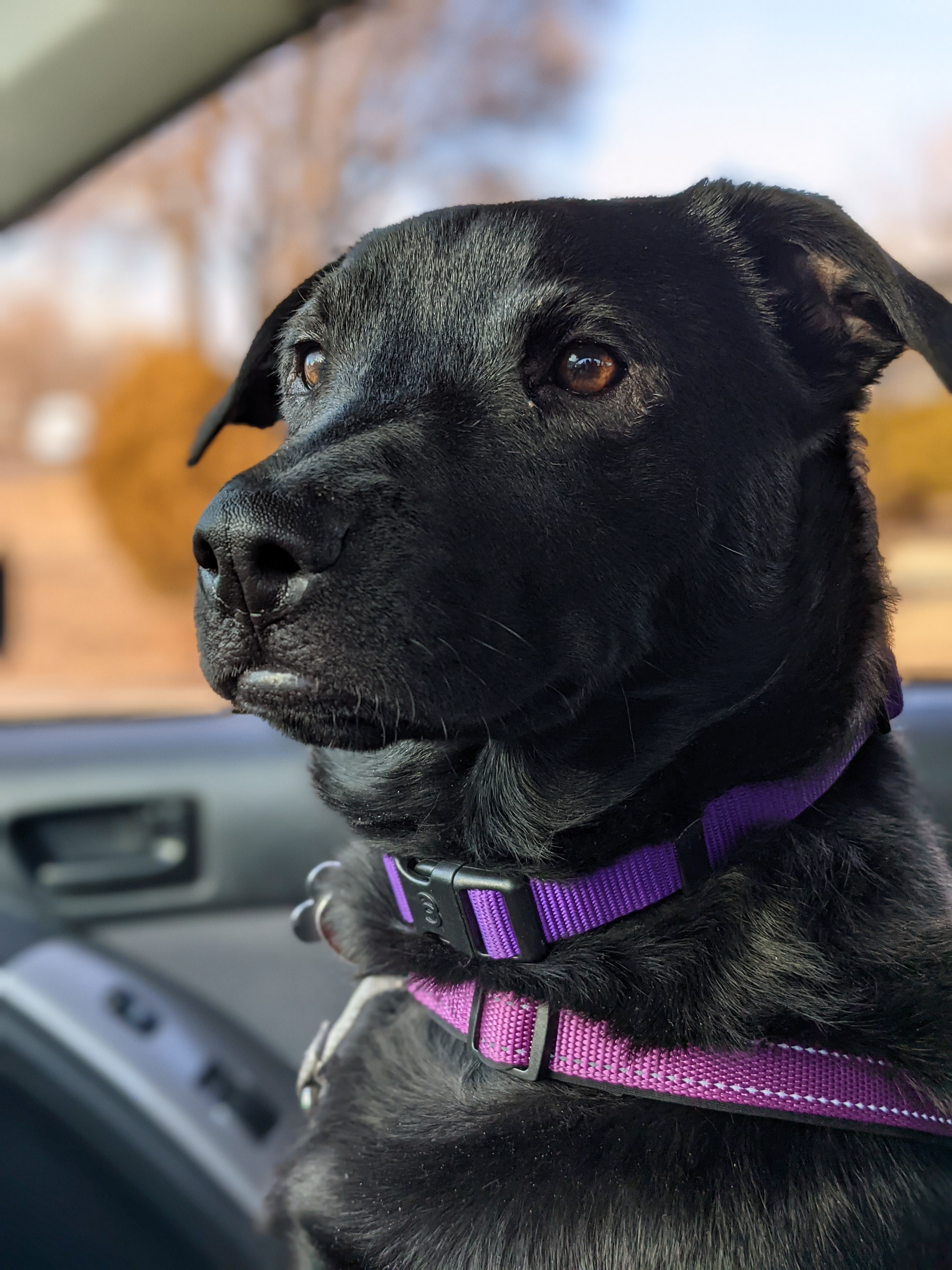 PXL_20210129_225802083.PORTRAIT